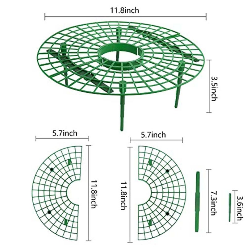 Iceyyyy 5 Pack Strawberry Plant Support - Strawberry Growing Racks with 4 Sturdy Legs - Strawberry Growing Frame Keep Berries Clean - Image 2